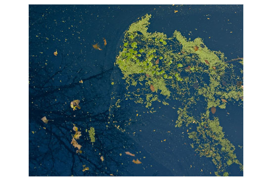 Gustavo Zinn - Reflejo