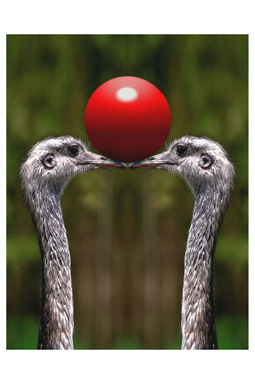 Ricardo Martiniuk - Equilibrio